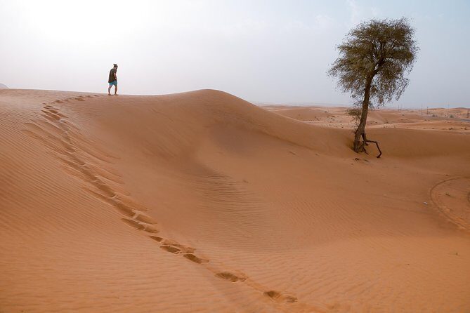 10 Namibia Adventures - FAQs