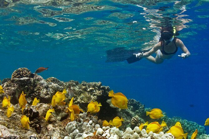 10 Passenger Max Customizable Private Charter - Who Should Consider This Tour?