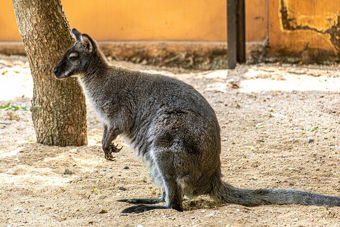 100% Customize Private One Day Tour in Sydney - FAQs