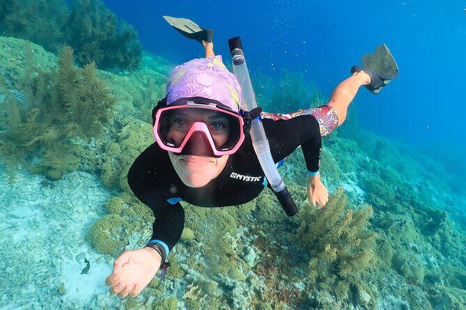 100% Private Charter Snorkel, Sail, Relax (Cruisers Friendly) - The Experience in Detail