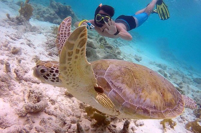 100% Private Charter Snorkel, Sail, Relax (Cruisers Friendly) - Final Thoughts