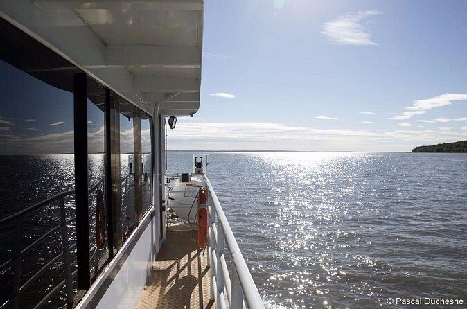 1000 Little Penguins Cruise - FAQs