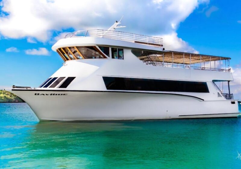 100ft 200 passenger 3 story mega yacht w open bar at Bayside - The Pros and Cons: A Balanced View