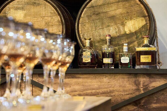 101 Oliver Rum Tasting & Pairing And Taino Concept Store - The Basics of the Tour