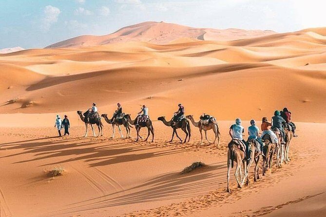 10D 9N Private Morocco Tour From Casablanca By Imperial Cities And South Desert - Frequently Asked Questions (FAQs)