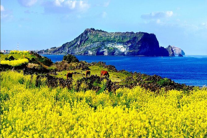 10day Small Group Discover Korea Tour : History, Food and Culture - FAQs