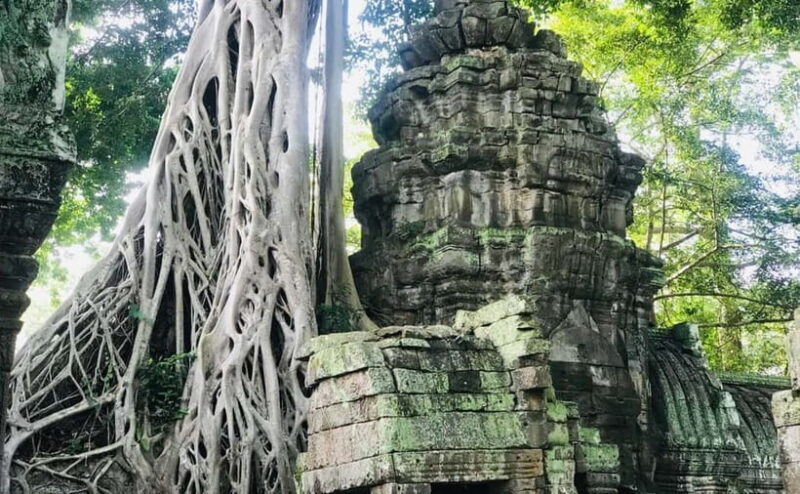 11-Day Cambodia Tour: visit Phnom Penh, Siem Reap & Beyond - Key Points