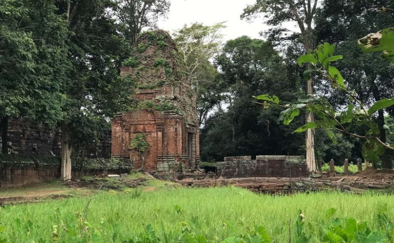11-Day Cambodia Tour: visit Phnom Penh, Siem Reap & Beyond - Transportation and Comfort