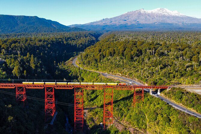 11 Day Shared Rail Tour of NZ North Island - The Charm of a Private Rail Experience