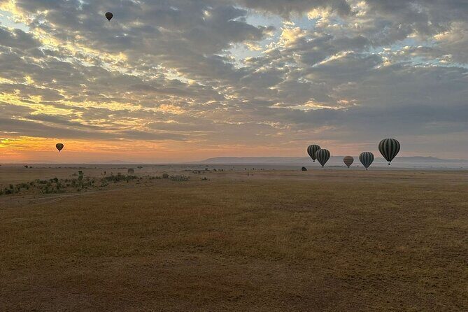 11-Day Wildebeest Migration Serengeti, Mara, Ngorongoro Crater. - Who This Tour is Best For