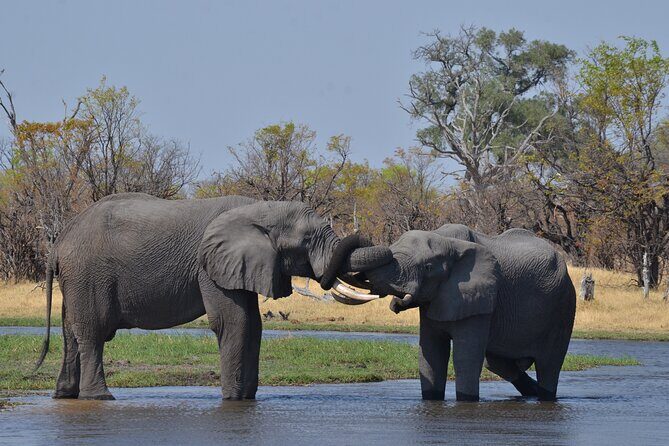 11 Days and 10 Nights Private Northern Explorer Tour - What the Tour Looks Like in Practice