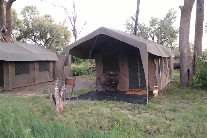 11 Days and 10 Nights Private Northern Explorer Tour - Who Should Consider This Safari?