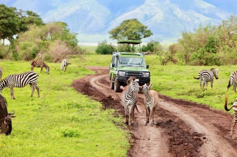 11 Days Best Kenya & Tanzania with Serengeti Safari Journey - Key Points