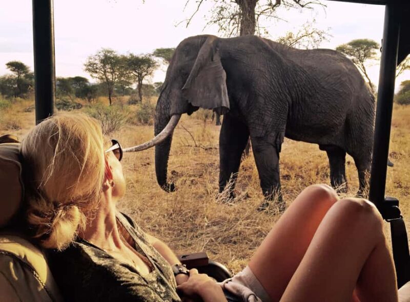 11 Days Best Kenya & Tanzania with Serengeti Safari Journey - An In-Depth Look at the Safari Experience