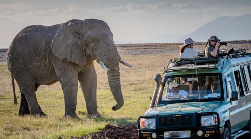11 Days Big Five Wildlife Safari and Zanzibar Beach - Exploring the Itinerary in Detail