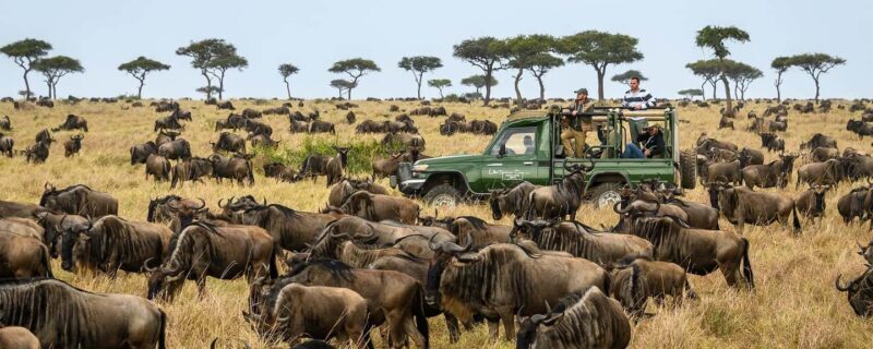 11 Days Kenya Safari Exploration on 4x4 Landcruiser Jeep - Key Points