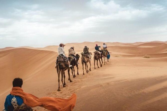 11 Days Morocco Epic Private Tour - Casablanca to Marrakesh via Chaouen & Desert - Day-by-Day Breakdown: What to Expect