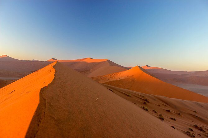11 Days Small Group Namibia Experience Fully Accommodated Tour - An Overview of What You Can Expect