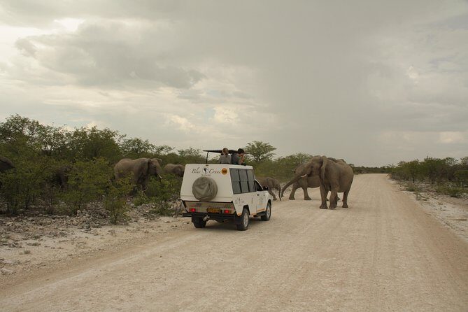 11 Days Small Group Namibia Experience Fully Accommodated Tour - FAQs