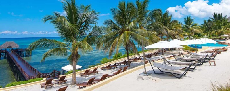 11 Days Tanzania Big Five Wildlife Safari and Zanzibar Beach - Key Points