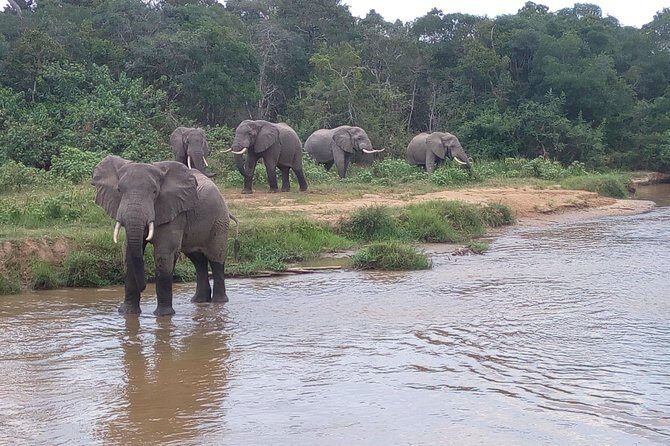 11 Days Uganda +Gorillas - The Value Proposition