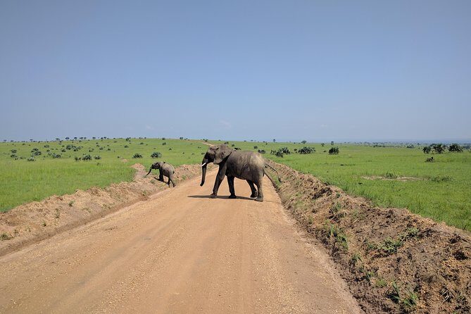 11 Days Uganda +Gorillas - FAQ