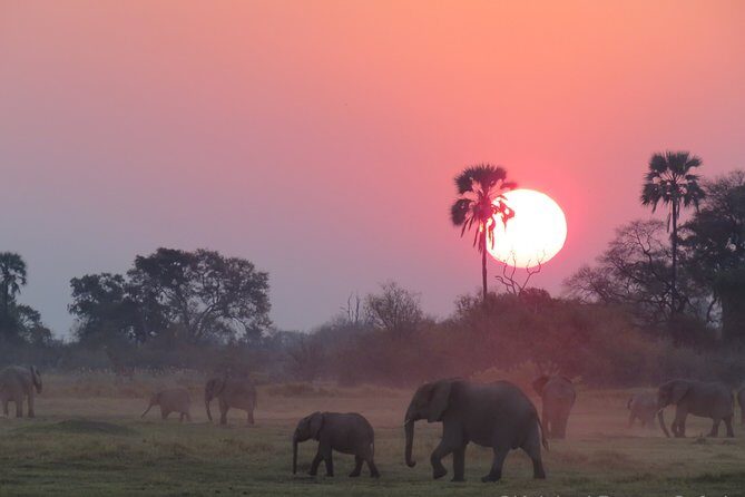 11Day WILDERNESS TRAIL:Okavango,Moremi&Chobe -WildCamping Safari +Victoria Falls - The Itinerary Breakdown — What Makes Each Day Special?
