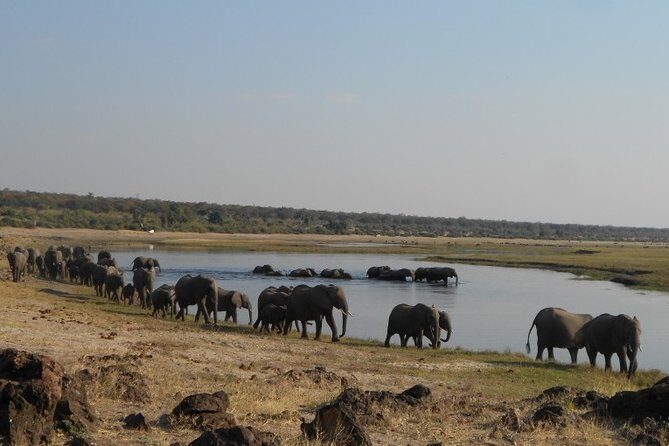 11Day WILDERNESS TRAIL:Okavango,Moremi&Chobe -WildCamping Safari +Victoria Falls - Final Thoughts