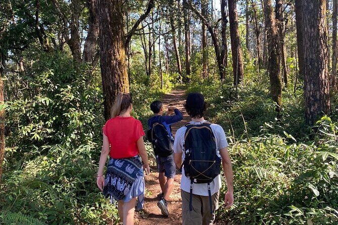 11km Scred Mountain Hike - Introduction