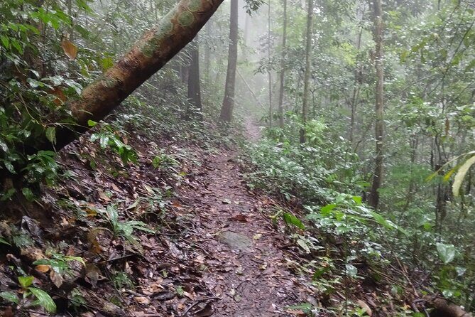 11km Scred Mountain Hike - The Sum Up