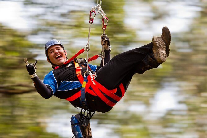 12 Apostles and Otway Fly Zipline Day Trip from Melbourne - Key Points