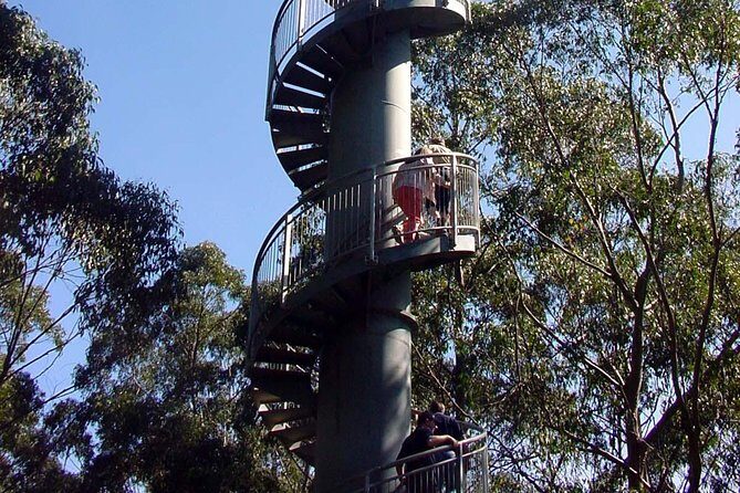 12 Apostles and Otway Fly Zipline Day Trip from Melbourne - Authentic Experiences and Traveler Insights