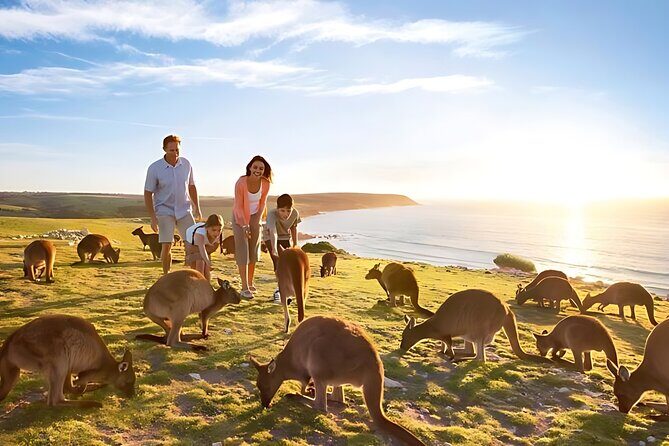 12 Apostles Great Ocean Road Tour From Melbourne - Analyzing the Value