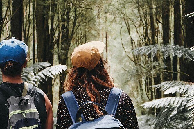 12 Apostles, Otways & Great Ocean Road Day Tour - Small Group - The Sum Up