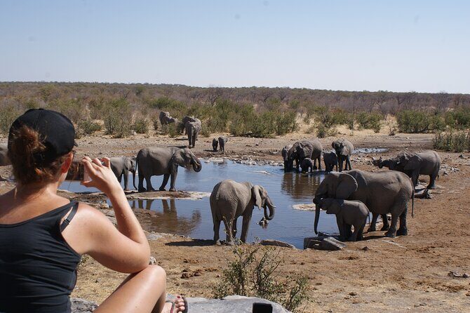 12 Day Classic Namibia Camping Safari - Why This Tour Works for Travelers