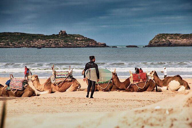 12 Day Morocco Discovery Private Tour - Who Will Love This Tour?