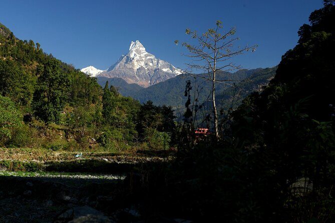 12-Day Nepal Adventure Trek with Jungle Safari - The Sum Up