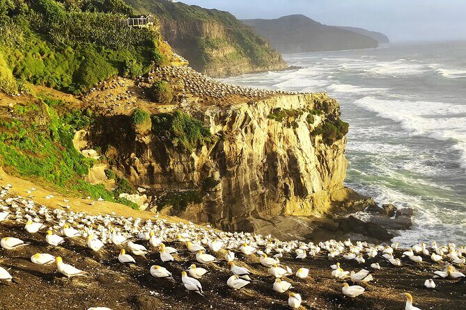 12 Day New Zealand Private Tour from Auckland to Queenstown - Key Points