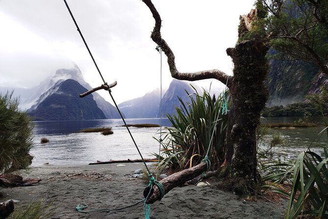 12 Day New Zealand Private Tour from Auckland to Queenstown - Starting in Auckland: Culture, History, and Serenity