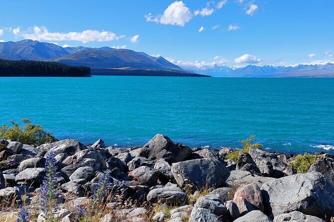 12 Day New Zealand Private Tour from Auckland to Queenstown - Final Days: Coastal Beauty and Peaceful Reflection