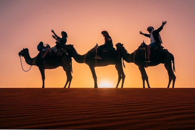 12 Days 11 Nights The best of Morocco (starts and end in Marrakesh) - The Return to Marrakech and Departure
