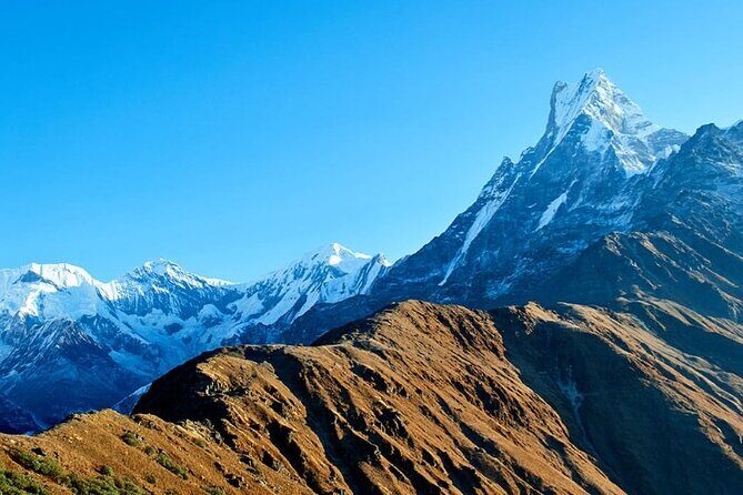 12 Days Annapurna Base Camp Trek - What Travelers Say: Authentic Insights