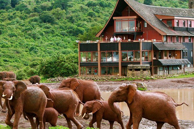 12-Days Best Of Kenya Big Five Wildlife Private Safari - Maasai Mara: The Wildlife Show
