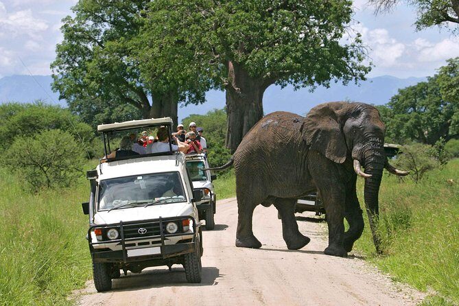 12-Days Best Of Kenya Big Five Wildlife Private Safari - Amboseli National Park: The Elephant’s Paradise