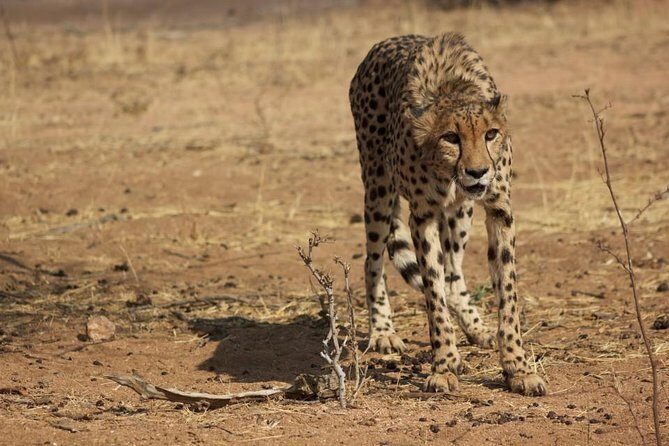 12 Days Guided Namibia In Plus | Guided Lodge - The Itinerary: A Day-by-Day Breakdown