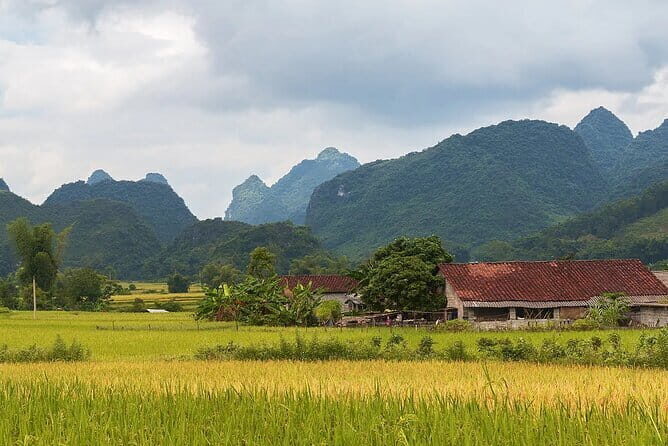 12 Days in Vietnam | Cultural Exploration with Beach Escapes - Frequently Asked Questions