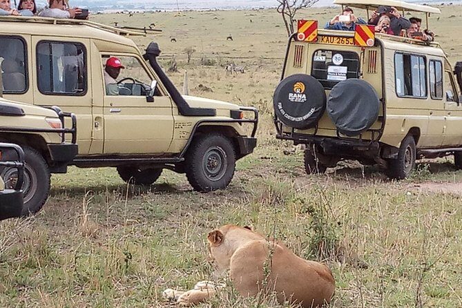 12 Days Kenya and Tanzania Budget Private Safari from Nairobi - FAQ