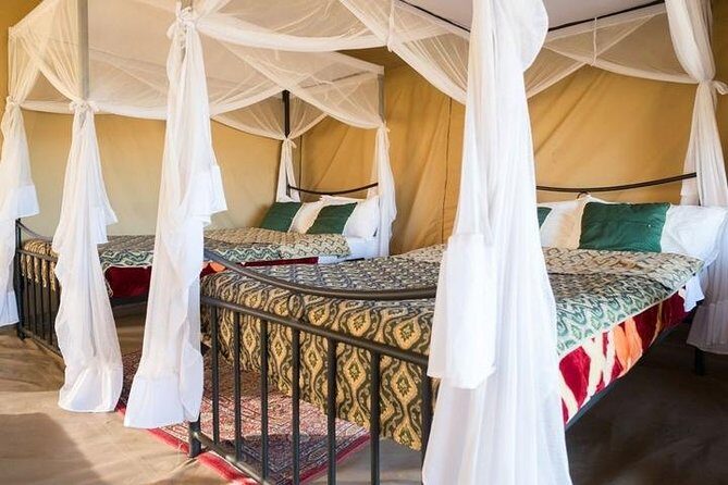 12 Days Kenya & Tanzania Safari Private Lodge Safari from Nairobi - Who Is This Tour Best For?