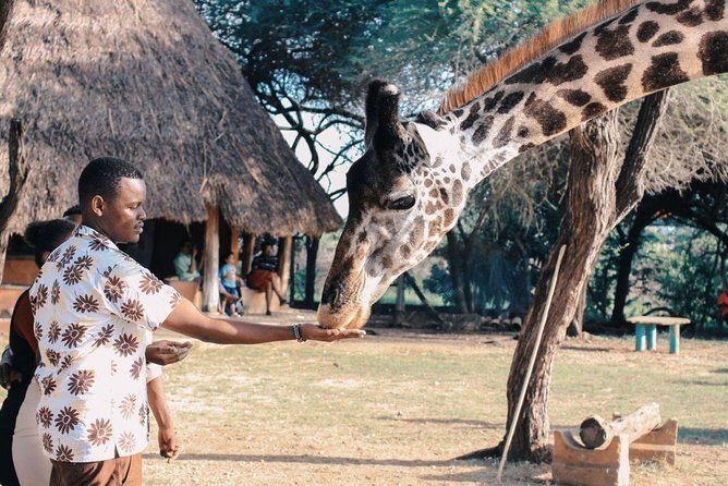 12 Days Kenya Tanzania wildlife Joining Tour - Authentic Experiences and Practicalities
