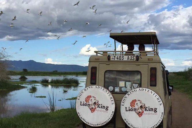 12 days Luxury Tanzania Honeymoon Safari and Zanzibar - What Makes This Tour Stand Out?